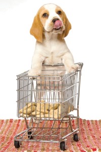 puppy shopping