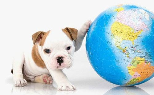 earthday